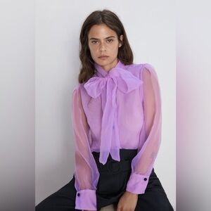 Zara organza sheer top